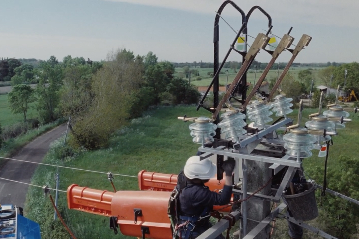 « Éviter une sorte de greenwashing » : comment Enedis concilie distribution électrique et protection des oiseaux